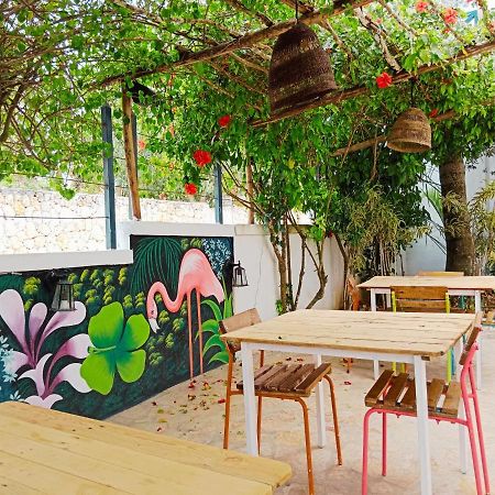 Tribe Inn Jungle & Flamingo Bayahibe Dış mekan fotoğraf
