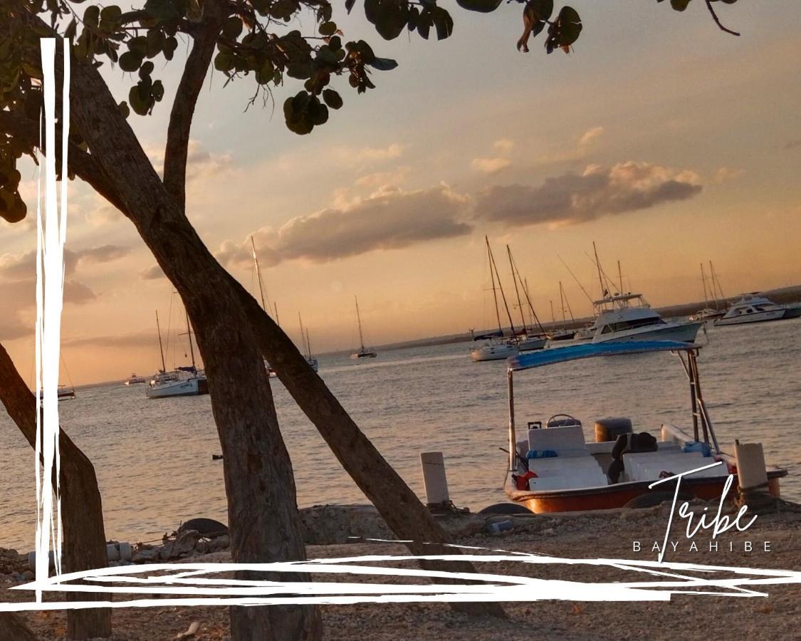 Tribe Inn Jungle & Flamingo Bayahibe Dış mekan fotoğraf